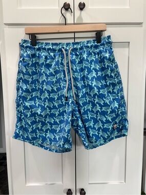 Tom & Teddy Large Blue Swim Trunks with Aqua Turtle Print